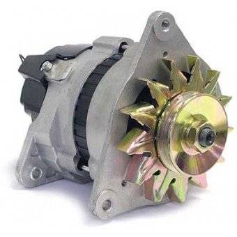 ELI001org Dynamo 17acr tot 1986    GEU216